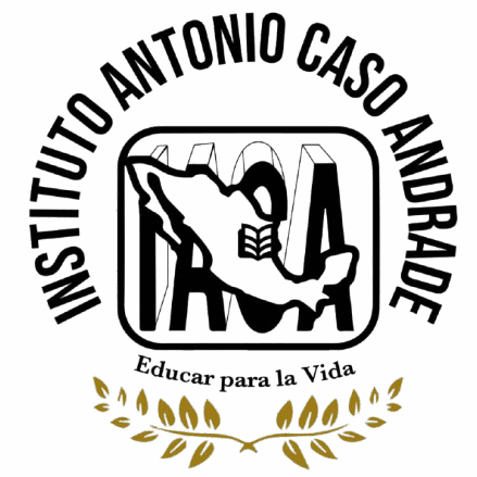 INSTITUTO ANTONIO CASO ANDRADE